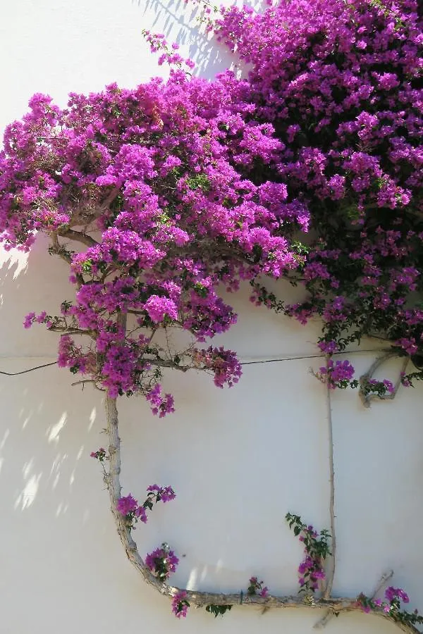 Apartman Las Rocas - Casa Diaz Roses Spanyolország